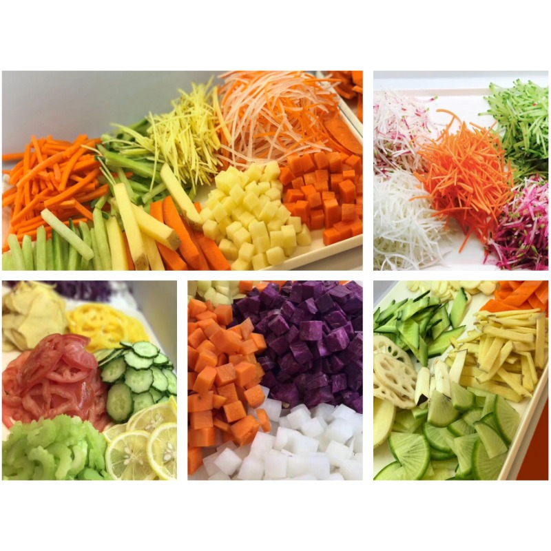Автоматическая малогабаритная  – обзор и цена Vegetable Chopper